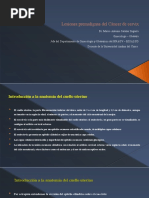 Lesiones Precursoras de Cancer de Cuello Uterino