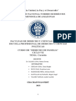 Informe Curatela