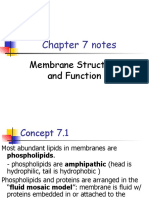 BIO - AP - Membrane Structure Function