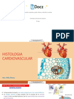 Histologia Cardiovascular Repaso 1 431751 Downloable 2124230