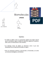 Lipidos