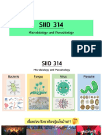 P' Night Microbio Summary (Preclinic)