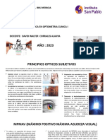 Trabajo Principios Opticos Subjetivos