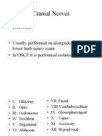 Cranial Nerves Exam