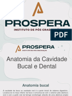 Anatomia Bucal e Dental - Curso Asb