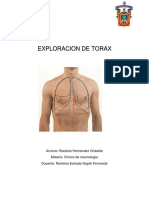 Exploracion de Torax