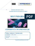 Secundaria: Experiencia Deaprendizaje