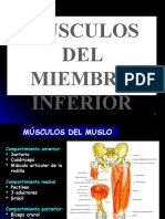 Miología Del Miembro Inferior 2