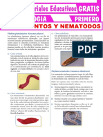 Platelmintos y Nematodos