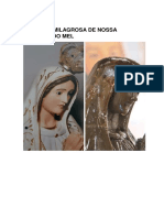 Historia e Milagres de Nossa Senhora Do Mel