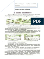 ATIVIDADES - 3º ANO - Semana Do Meio Ambiente