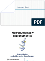 Ne Uba Macro y Micronutrientes Power Point-1