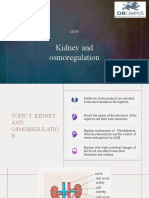 Kidney and Osmoregulation