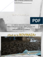 Bovinaza