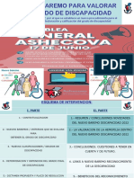 Grado Discapacidad Luis Vaño