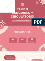 Tejido Sanguineo y Circulatorio Semana 8