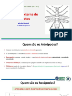 Morfologia Geral, Cabeça e Antenas