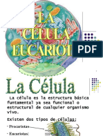 Celula Eucariotica 2021-II