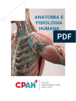 06 - Anatomia e Fisiologia Humana