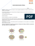 Guía de Trabajo Formativo 6 Básico