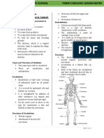 Human Skeleton F3 Noradin