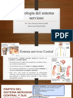 Patología Del Sistema Nervioso