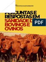 Perguntas e Respostas em Sanidade e Book Vetclinic