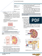 Renal Physio 1-3 (2018)