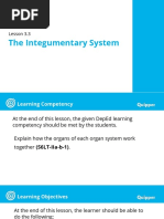 P9mi9p6lx - Lesson 3.3-The Integumentary System 3