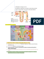 Resumo Bioquímica Básica e Clínica