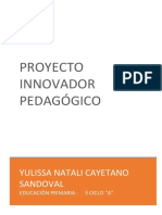 Proyecto Innovador Yulissa Cayetano