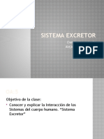 8° CS NAT Sistema Excretor