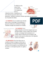 Documento Sin Título