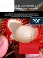 Elaboración de Un Producto A Base de La Semilla de Rambután