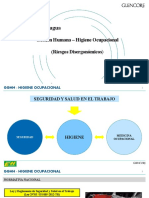 Riesgos Disergonómicos (ECOSEM HUAYHUAY)