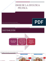 Trastornos de La Estática Pélvica