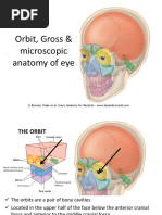 Handout - Gross & Microscopic Anatomy of Ear and Eye