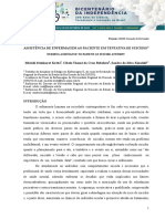 Texto Do Artigo Organização