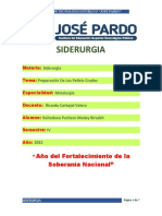 Informe de Elaboración de Pellest Crudos 2022