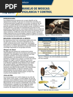 Manejo de Moscas