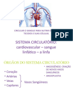 Sistema Circulatório