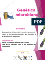 Genetica Microbiana