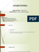 PDF Documento