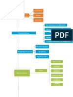 Mapa Conceptual