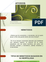 NEMATODOS