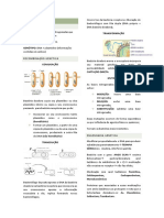 Bactéria Genética