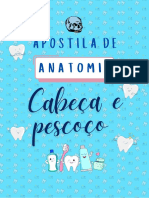 Anatomia Cabeça e Pescoço