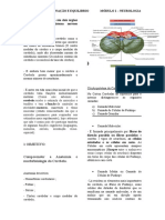 Tutoria 3 - Neuro, Cerebelo