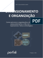 Ebook Dimensiona e Organiza