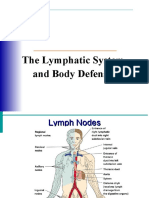 Immune System Histology